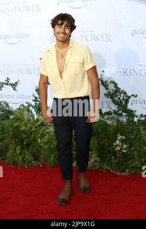 15. August 2022, Culver City, CA, USA: LOS ANGELES - 15. AUGUST: Michael Cimino bei der Premiere von The Herr der Ringe: The Rings of Power in den Culver Studios am 15. August 2022 in Culver City, CA (Foto: © Kay Blake/ZUMA Press Wire) Stockfoto
