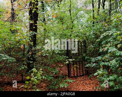 Ein geschlossenes Tor mitten im Wald Stockfoto