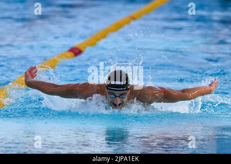 Rom, Italien. 16.. August 2022, Alberto Razzetti (ITA) während der Schwimmeuropameisterschaften Rom 2022 im Foro Italico am 16. August 2022. Stockfoto