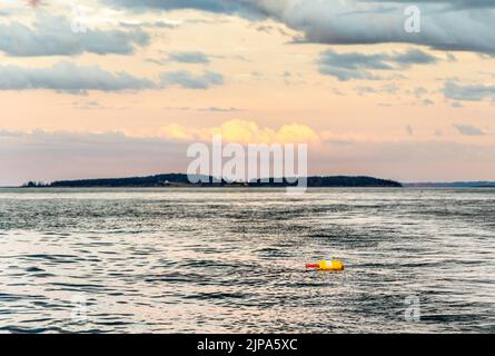 Hummerfangboje in Camden Harbor, Maine Stockfoto