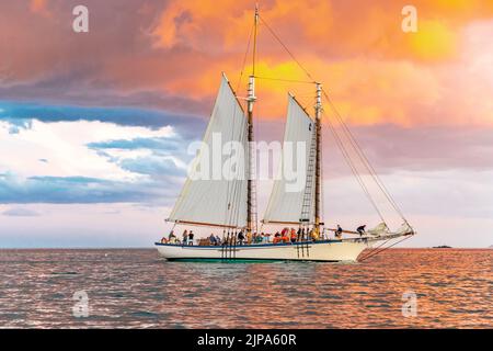 Schooner Appledore II segelt in der westlichen penobscot Bucht mit einem atemberaubenden Sonnenuntergang Stockfoto
