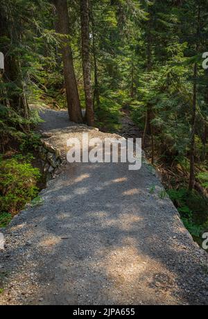 Pfad in einem alten Waldpark. Ein wirklich schöner Weg durch die Natur. Gehweg im Sommerwald. Schöne Naturlandschaft im Sommer. H Stockfoto