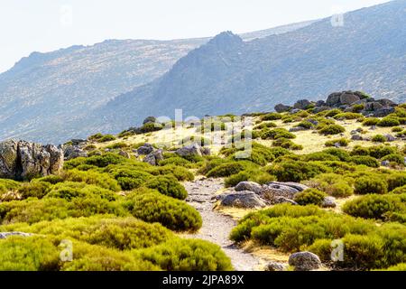 Straße zum Gipfel des felsigen Berges in der sierra de Madrid, La Morcuera Stockfoto