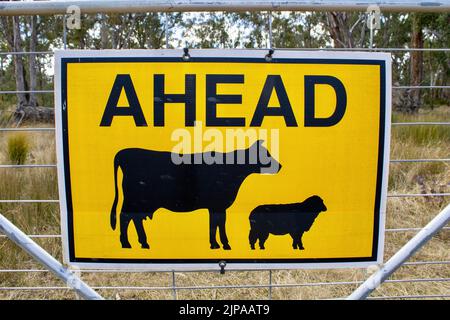 Ein Schild, das Rinder und Schafe vor einem Tor in einem ländlichen Gebiet warnt Stockfoto