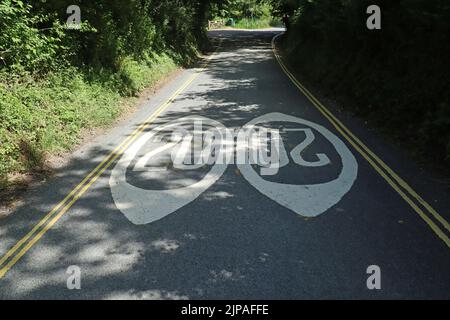 Zwei Schilder für Geschwindigkeitsbegrenzungen von 20 Meilen pro Stunde auf dem Asphalt auf einer schmalen Landstraße. Zeichen werden in beide Richtungen gemalt, um für tra sichtbar zu sein Stockfoto