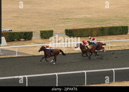 London, Großbritannien. 16. August 2022. Willem Twee, gefahren von Daniel Muscutt, gewinnt den 16:00 vor Wonder Elzam und Twilight Madness auf der Kempton Park Racecourse, UK. Kredit: Paul Blake/Alamy Live Nachrichten. Stockfoto