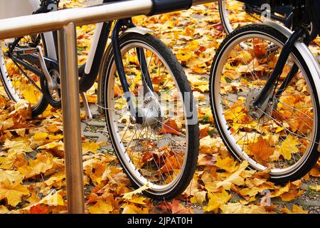 Fahrradreifen auf der Fahrradverleihstation im Herbst Stockfoto