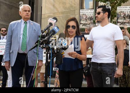 New York, USA. 16. August 2022. Caroline Smidt (M) teilt mit, dass sie das missbrauchte Pferd Ryder - das sich bereits in Not befindet - vier Stunden vor seinem Zusammenbruch im Central Park bei einer Kundgebung gesehen hat, bei der der Bezirksanwalt von Manhattan, Alvin Bragg, eine strafrechtliche Untersuchung von Ian McKeever bei einer Kundgebung vor dem Büro des da in New York, NY, forderte. Am 16. August. 2022. Gabriele Holtermann/Sipa USA) Quelle: SIPA USA/Alamy Live News Stockfoto