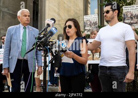 New York, USA. 16. August 2022. Caroline Smidt (M) teilt mit, dass sie das missbrauchte Pferd Ryder - das sich bereits in Not befindet - vier Stunden vor seinem Zusammenbruch im Central Park bei einer Kundgebung gesehen hat, bei der der Bezirksanwalt von Manhattan, Alvin Bragg, eine strafrechtliche Untersuchung von Ian McKeever bei einer Kundgebung vor dem Büro des da in New York, NY, forderte. Am 16. August. 2022. Gabriele Holtermann/Sipa USA) Quelle: SIPA USA/Alamy Live News Stockfoto