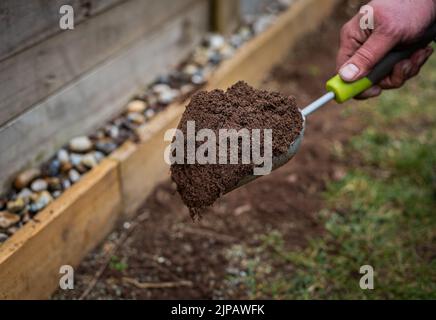 Nahaufnahme der Schaufel Garten Handwerkzeug mit Schmutz Erde über Gras im Garten gefüllt. Stockfoto