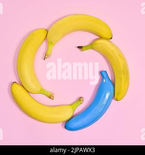 Kreativer Rahmen aus reifen Bananen im Kreis auf pastellrosa Hintergrund. Flacher, laygerer Kopierplatz Stockfoto