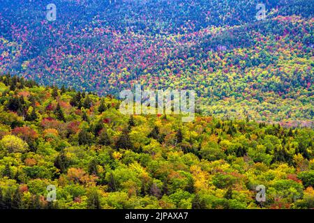 Die Seiten eines Berges sind im Herbst in New Hampshire mit Bäumen bedeckt, die sich in verschiedenen Phasen der Farbveränderung befinden. Stockfoto