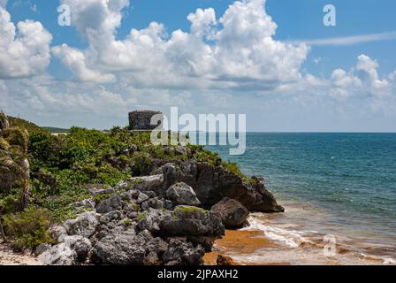 Übermäßige Mengen an Sargassum-Algen säumen die Küste unterhalb der Archäologischen Zone von Tulum. Stockfoto