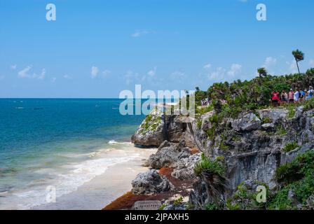 Übermäßige Mengen an Sargassum-Algen säumen die Küste unterhalb der Archäologischen Zone von Tulum. Stockfoto