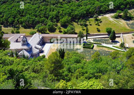 GORDES, FRANKREICH -1 JUL 2021- Blick auf die Abbaye Notre-Dame de Senanque, ein Wahrzeichen des Zisterzienserklosters, umgeben von Lavendelfeldern in Gordes, Lubero Stockfoto