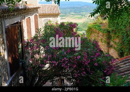 GORDES, FRANKREICH -1 JUL 2021- Blick auf die Innenstadt von Gordes, einem mittelalterlichen Dorf in der Region Luberon in Vaucluse, Provence, Frankreich. Stockfoto