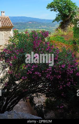 GORDES, FRANKREICH -1 JUL 2021- Blick auf die Innenstadt von Gordes, einem mittelalterlichen Dorf in der Region Luberon in Vaucluse, Provence, Frankreich. Stockfoto