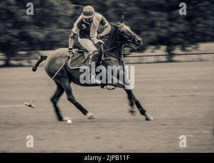 Eine stilisierte Bearbeitung eines Polo-Spielers während des Groundsman Cup, Kirtlington Polo Club. Stockfoto