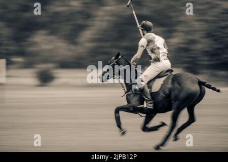 Eine stilisierte Bearbeitung eines Polo-Spielers während des Groundsman Cup, Kirtlington Polo Club. Stockfoto