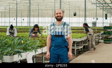 Porträt eines kaukasischen Bauern in einer Bio-Farm, der selbstbewusst posiert, während verschiedene Pflücker im Gewächshaus Bio-Salat sammeln. Lächelnder Mann in hydroponischer Umgebung mit Arbeitern, die Pflanzen inspizieren. Stockfoto