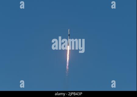 Eine Falcon 9-Rakete mit dem Korea Pathfinder Lunar Orbiter (KPLO) startet von der Cape Canaveral Space Force Station, Florida, 4. August 2022. Mit diesem Start wurde die erste Tiefraummission Südkoreas gestartet. (USA Space Force Foto von Senior Airman Dakota Raub) Stockfoto