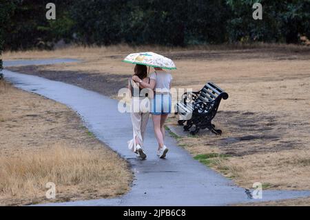 London, Großbritannien. 16. August 2022. Im Greenwich Park fallen Duschen auf ausgetrocktes Gras und beenden die Hitzewelle. Kredit: JOHNNY ARMSTEAD/Alamy Live Nachrichten Stockfoto