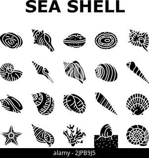 Sea Shell Strand Sommer Ozean Symbole setzen Vektor Stock Vektor