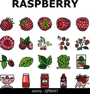 himbeer-Früchte-Beere rote Lebensmittel Symbole Set Vektor Stock Vektor
