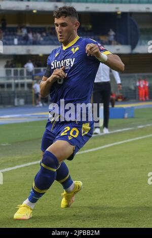 Verona, Italien. 15. August 2022. Roberto Piccoli vom FC Hellas Verona während des Spiels Hellas Verona gegen SSC Napoli, 1Â Serie A Tim 2022-23 im Marcantonio Bentegodi Stadium in Verona, Italien, am 15. August 2022. Kredit: Unabhängige Fotoagentur/Alamy Live Nachrichten Stockfoto