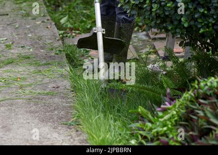 Arbeiter mähen Gras mit Benzin Rasentrimmer Stockfoto