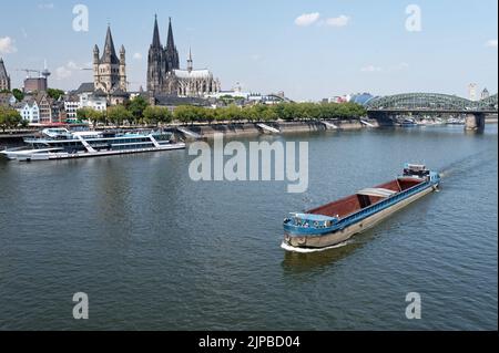 Köln, Deutschland 16. August 2022: Ein unbeladenes Frachtschiff fährt bei niedrigem Wasserstand auf dem rhein in köln Stockfoto