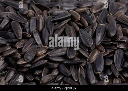 Nahaufnahme von schwarzen Sonnenblumenkernen. Sonnenblumenöl, Ölsaatanbau und Agrarkonzept. Stockfoto