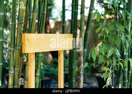 Mitten in einem grünen Baumgarten steht ein neues Holzschild Stockfoto