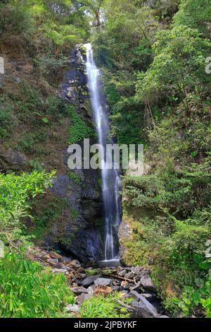 Der berühmte Jiuliao Wasserfall in der Gemeinde Dongshan, Bezirk Yilan, Taiwan Stockfoto