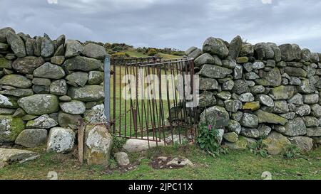 Ein typisches Farmtor und eine Steinmauer für Vieh in der ländlichen walisischen Landschaft. Snowdonia National Park, Wales, Großbritannien Stockfoto