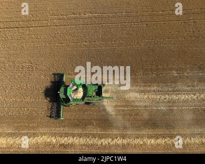 Peterborough, Großbritannien. 13. August 2022. Ein Mähdrescher, der am 13. August 2022 auf einem Feld in der Nähe von Peterborough, Cambridgeshire, Großbritannien, an Feldfrüchten arbeitet Kredit: Paul Marriott/Alamy Live News Stockfoto