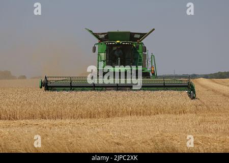 Peterborough, Großbritannien. 13. August 2022. Ein Mähdrescher, der am 13. August 2022 auf einem Feld in der Nähe von Peterborough, Cambridgeshire, Großbritannien, an Feldfrüchten arbeitet Kredit: Paul Marriott/Alamy Live News Stockfoto