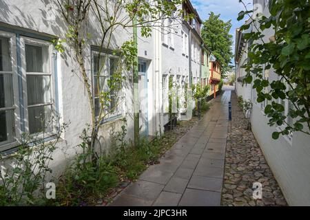 Flensburg in der Altstadt, typische schmale Gasse zwischen kleinen historischen Stadthäusern mit Rosen an den Fassaden im Kopfsteinpflaster, Touristenziel, Stockfoto