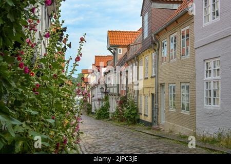 Enge gepflasterte Gasse mit kleinen historischen Wohnhäusern und gepflanzten Blumen an den Fassaden in der Altstadt von Flensburg, Deutschland, touristisch am meisten Stockfoto