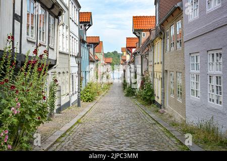 Altstadt von Flensburg, schmale gepflasterte Gasse mit historischen Wohnhausfassaden und gepflanzten Blumen auf dem Bürgersteig, Deutschland, touristisches Ziel Stockfoto