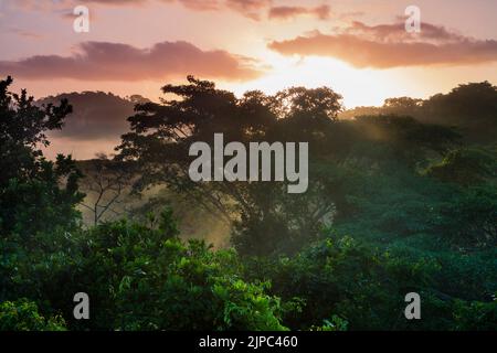 Panama-Landschaft mit nebligen Regenwäldern bei Sonnenaufgang im Soberania-Nationalpark, Provinz Colon, Republik Panama, Mittelamerika. Stockfoto