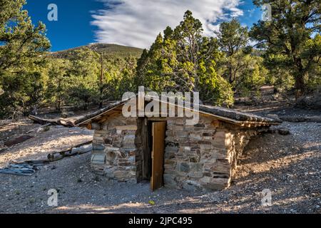 Steinhütte in der Nähe der Bonita Mine, est. Von John Tilford, Snake Creek Canyon, Great Basin National Park, Nevada, USA Stockfoto