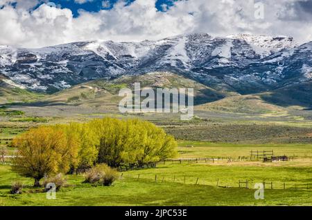 Humboldt Peak Massiv, East Humboldt Range, über Secret Valley, nach Schneesturm im späten Frühjahr, Blick vom Secret Pass, nahe NV229 Highway, Nevada, USA Stockfoto