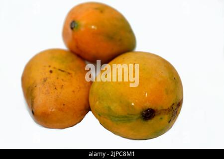 Selektiver Fokus auf frische Mango-Früchte isoliert auf weißem Hintergrund ist eine Mango eine essbare Steinfrucht, die vom tropischen Baum Mangifera indica t produziert wird Stockfoto