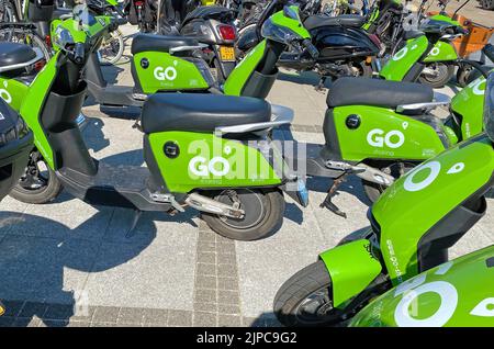 Zandvoort, Niederlande - August 12. 2022: Viele grüne Elektroroller mit Logo-Schriftzug der GO Sharing Company im Stadtzentrum Stockfoto