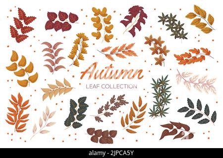 Vintage Herbst Wald Zweige mit Blätter Sammlung. Flach handgezeichnete Vektorgrafik Satz von Laub. Stock Vektor