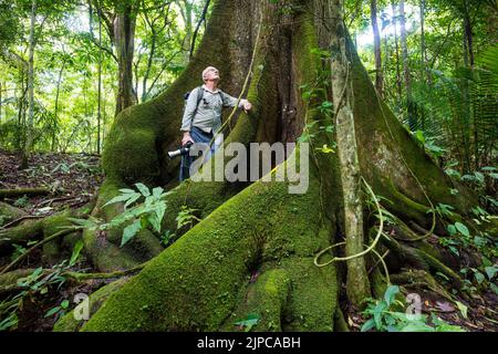 Naturtourist neben einem großen ceiba-Baum im Regenwald des Soberania Nationalparks, Republik Panama, Mittelamerika. Stockfoto