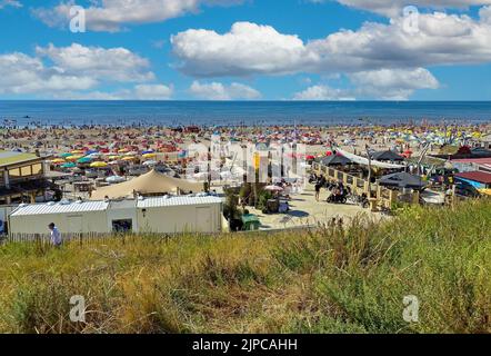 Zandvoort, Niederlande - August 12. 2022: Blick von den Dünen auf den überfüllten holländischen Nordseestandstrand am sonnigen Sommerwochenende Stockfoto