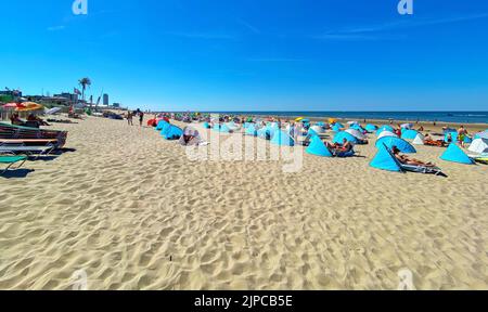 Zandvoort, Niederlande - August 12. 2022: Wunderschöne holländische Küstenstadt entspannender Sandstrand mit typischen blauen Muschelunterkünften, Nordseehorizont, Sommer Stockfoto