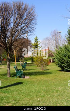 Grüne Holzbänke in Bäumen und grünes Gras im Park Stockfoto